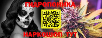 прущий лед Кингисепп