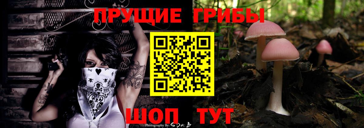 Псилоцибиновые грибы Magic Shrooms  Вход с VPN  сколько стоит  Галлюциногенные грибы Magic Shrooms  Королёв 