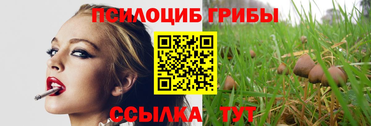 Псилоцибиновые грибы GOLDEN TEACHER Королёв